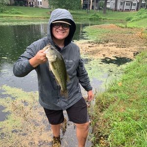 Meet your Posher, Carson